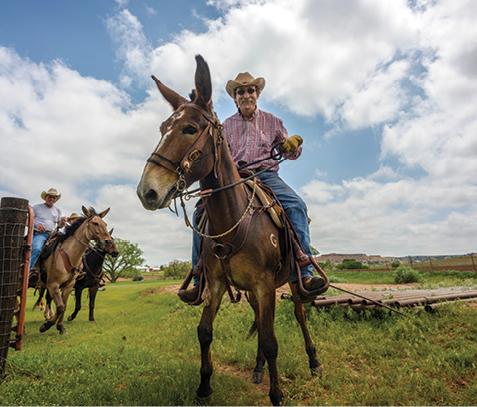 Tourism: Expect The Unexpected In Kansas