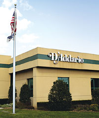 D'Addario & Co., Inc.