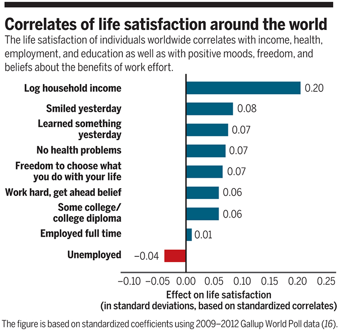 Life Satisfaction