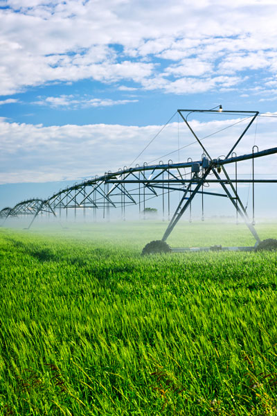 irrigation of fields