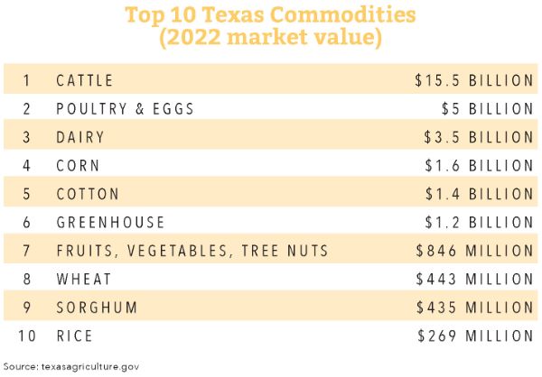 Top 10 Texas Commodities