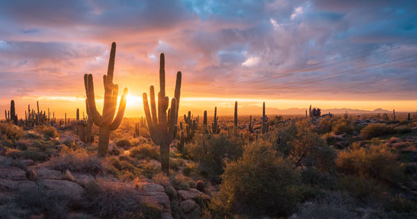 The McDowell Sonoran Preserve in Scottsdale, Arizona