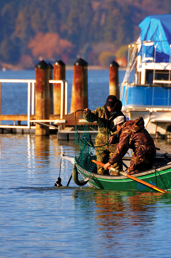 PelicanMarinaKlamathLake_flickr