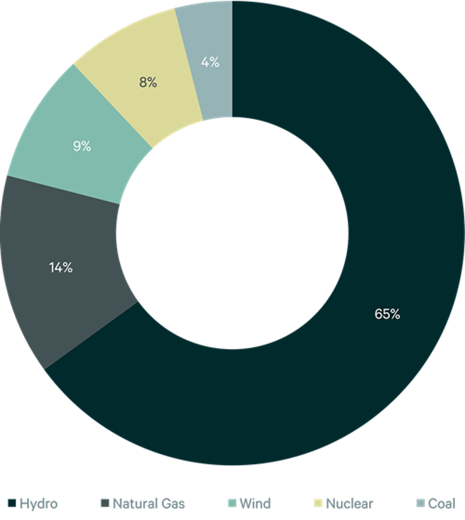 Central Washington Fuel Mix