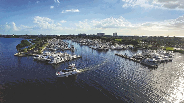 Sarasota Marina