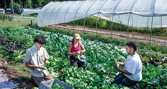 From the September Issue