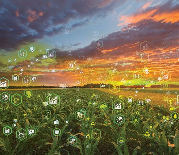 From the September Issue