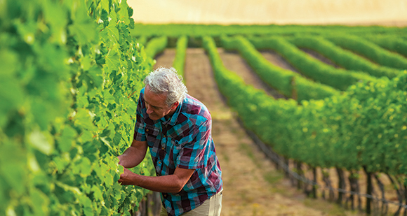 From the September Issue