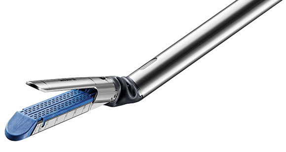 From the September Issue