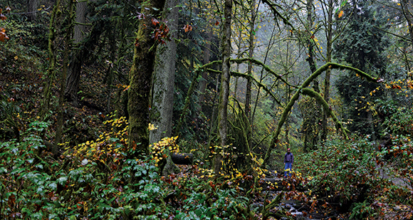 From the September Issue