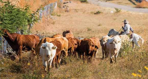 From the September Issue