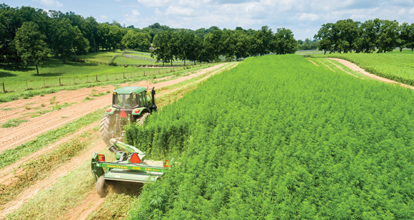 From the September Issue