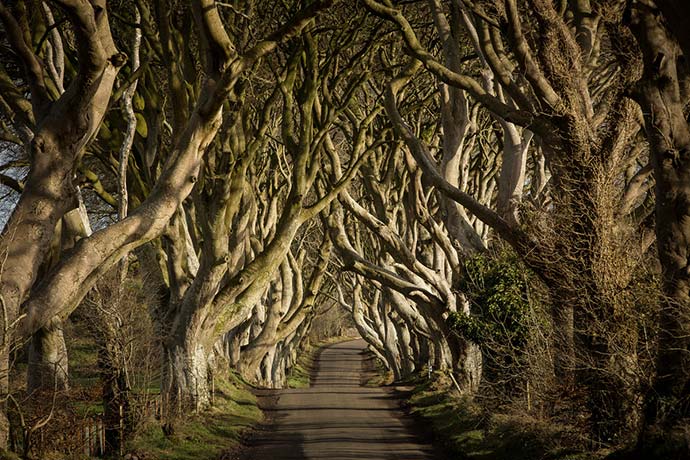 Game of Thrones