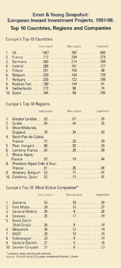 Ernst and Young Snapshot