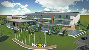 bio-Xcell Rendering Iskandar