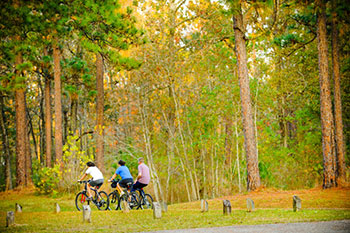 Biking