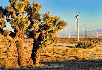 JoshuaTree_ManzanaWindPower