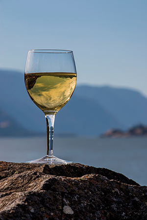 white wine on the rocks