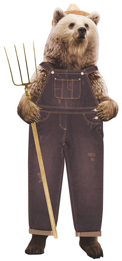 Farm Bear