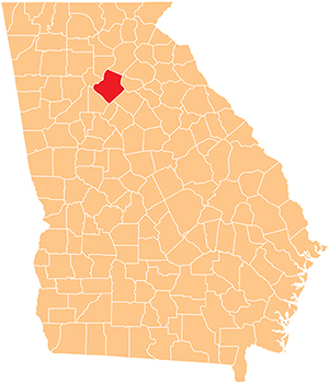 Georgia Counties Map