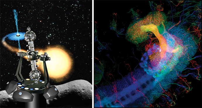 diptych of Zeiss Planetarium and Drosophila