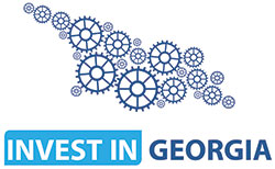 Invest in Georgia