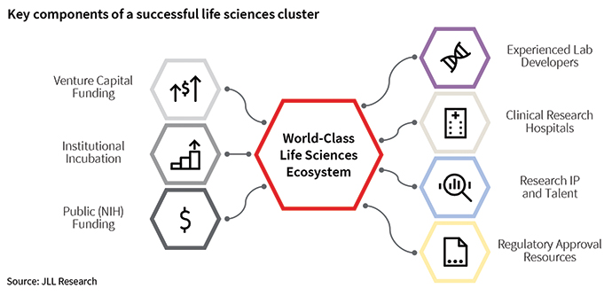 LS Ecosystem