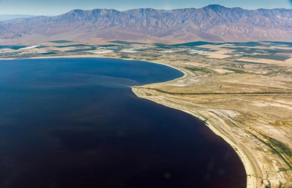 Salton Sea photo (600web).jpg