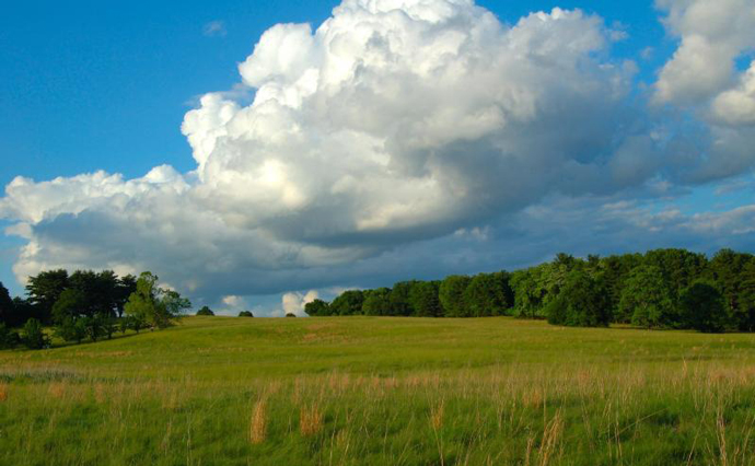 Valley Forge Meadow