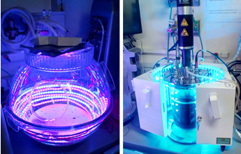 Light Influence on Proteins