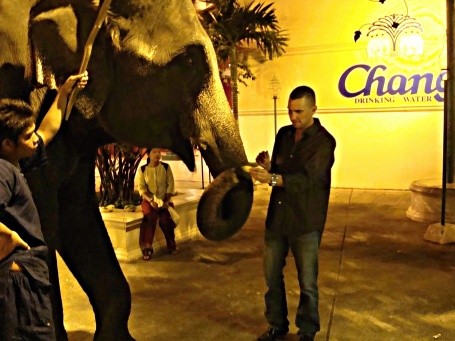 Elephant-petting after the Siam Niramit show