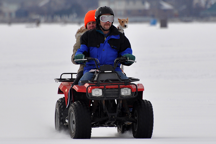 Dog Wheeling