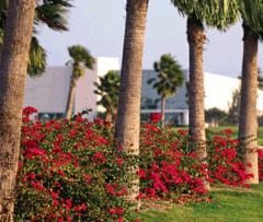 Business Park at Sharyland Plantation