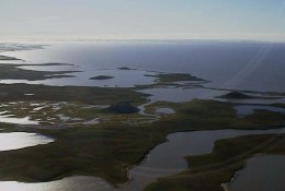 Mackenzie Delta